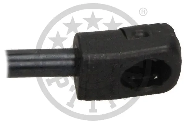 Gas Spring, boot/cargo area