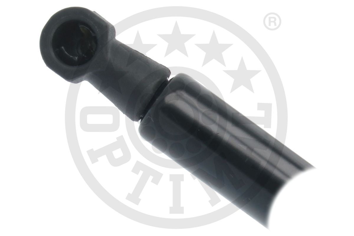 Gas Spring, boot/cargo area