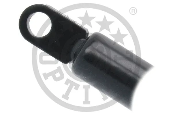 Gas Spring, boot/cargo area