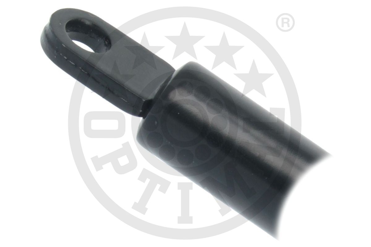 Gas Spring, boot/cargo area