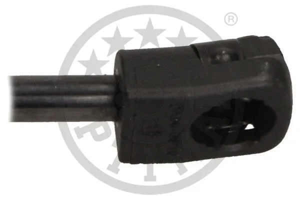 Gas Spring, boot/cargo area