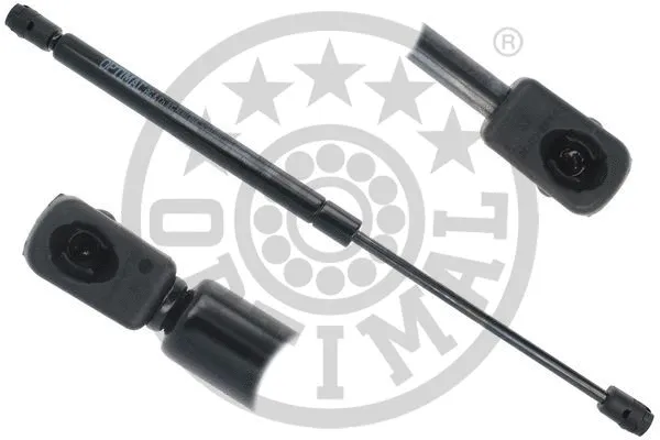 Gas Spring, boot/cargo area (AG-51517)