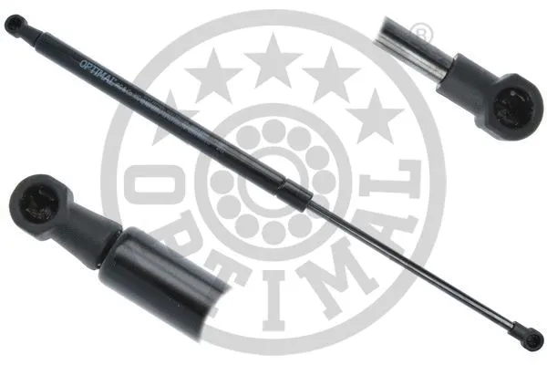 Gas Spring, boot/cargo area (AG-51228)
