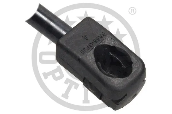 Gas Spring, boot/cargo area