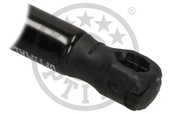 Gas Spring, boot/cargo area