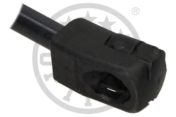 Gas Spring, boot/cargo area