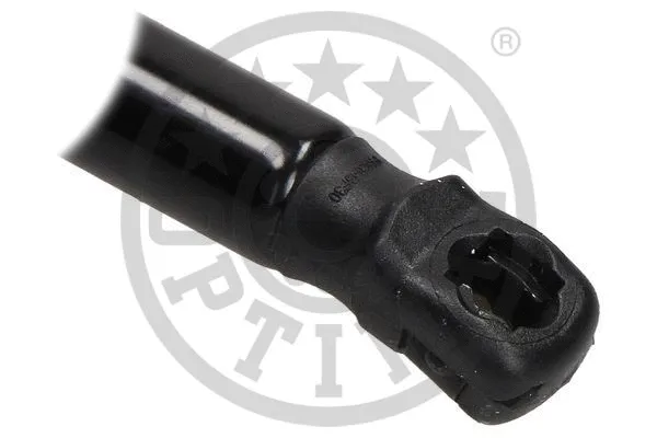 Gas Spring, boot/cargo area