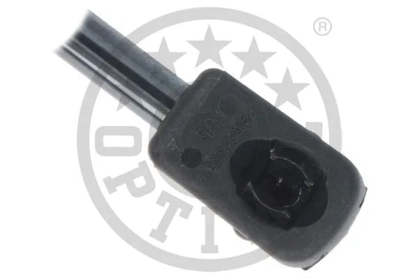 Gas Spring, boot/cargo area