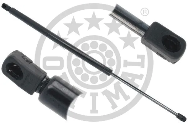 Gas Spring, boot/cargo area (AG-52348)