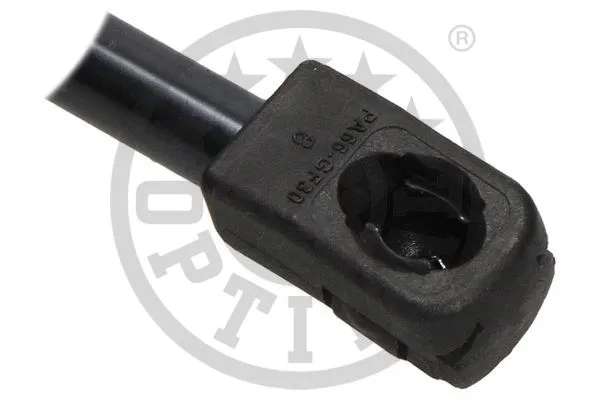 Gas Spring, boot/cargo area