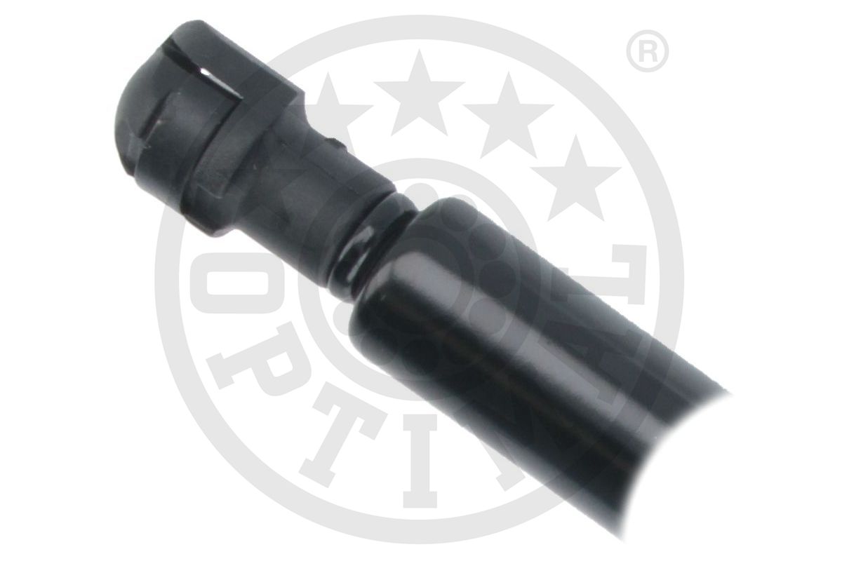 Gas Spring, boot/cargo area