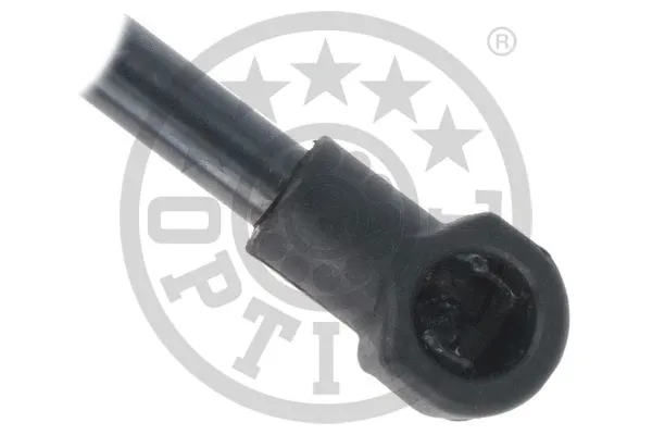 Gas Spring, boot/cargo area