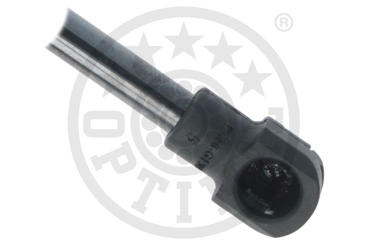 Gas Spring, boot/cargo area