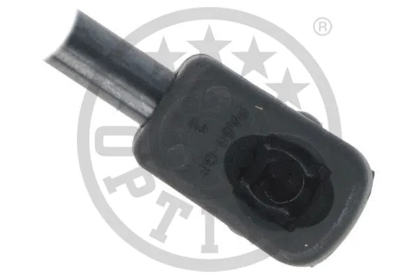 Gas Spring, boot/cargo area