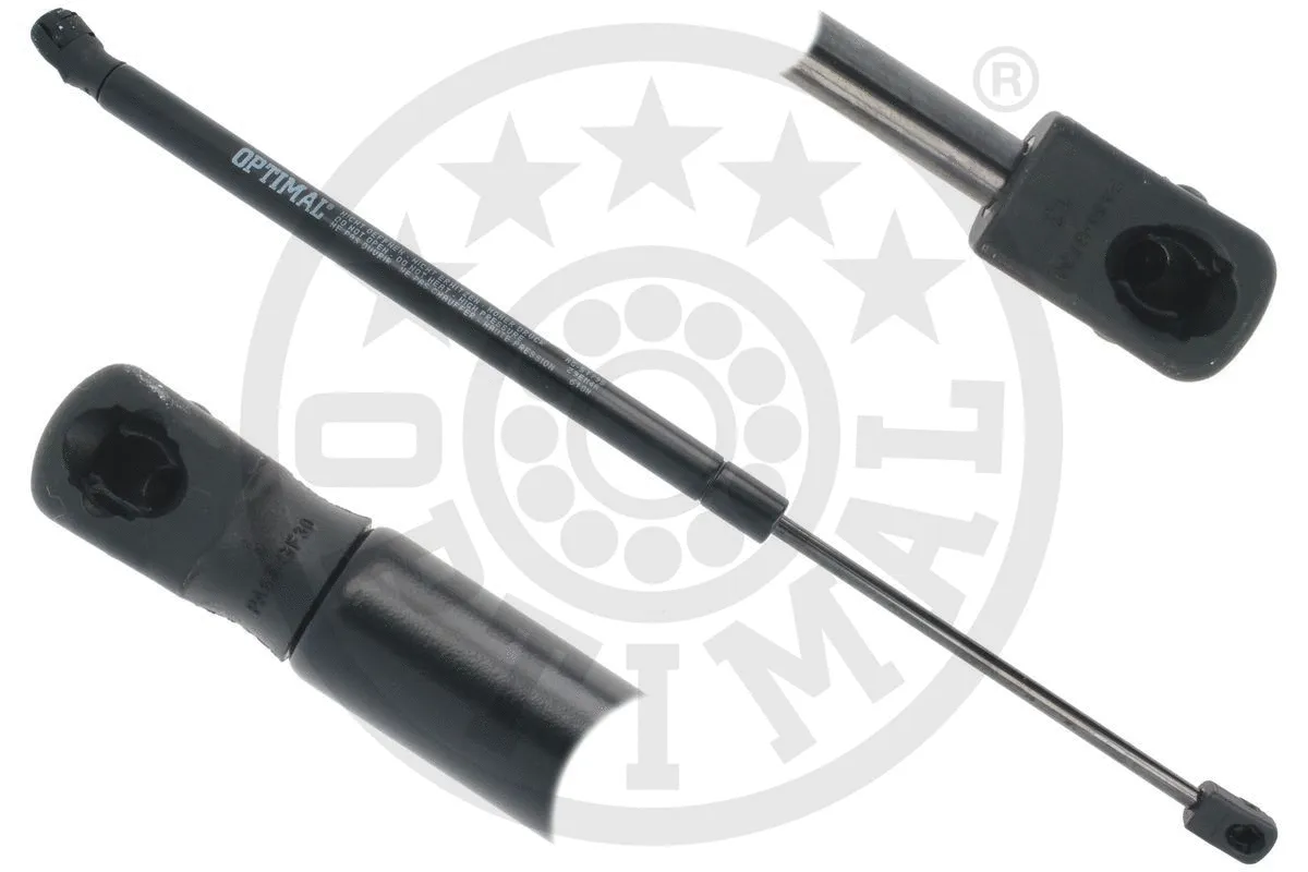 Gas Spring, boot/cargo area (AG-51795)