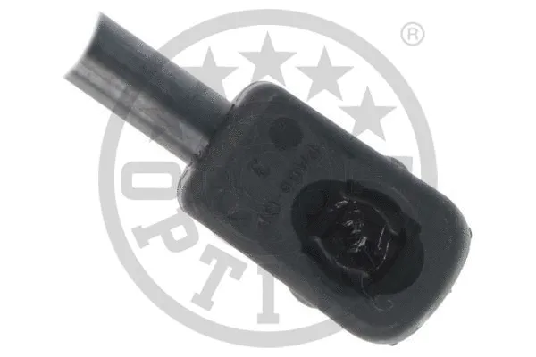 Gas Spring, boot/cargo area