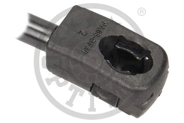 Gas Spring, bonnet