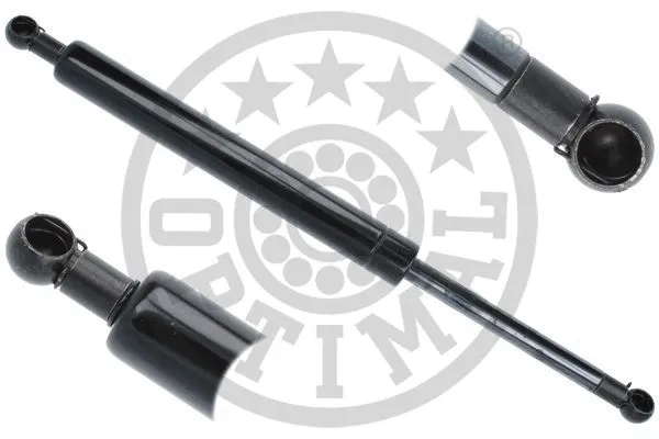 Gas Spring, boot/cargo area (AG-40384)