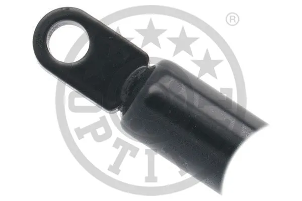 Gas Spring, boot/cargo area