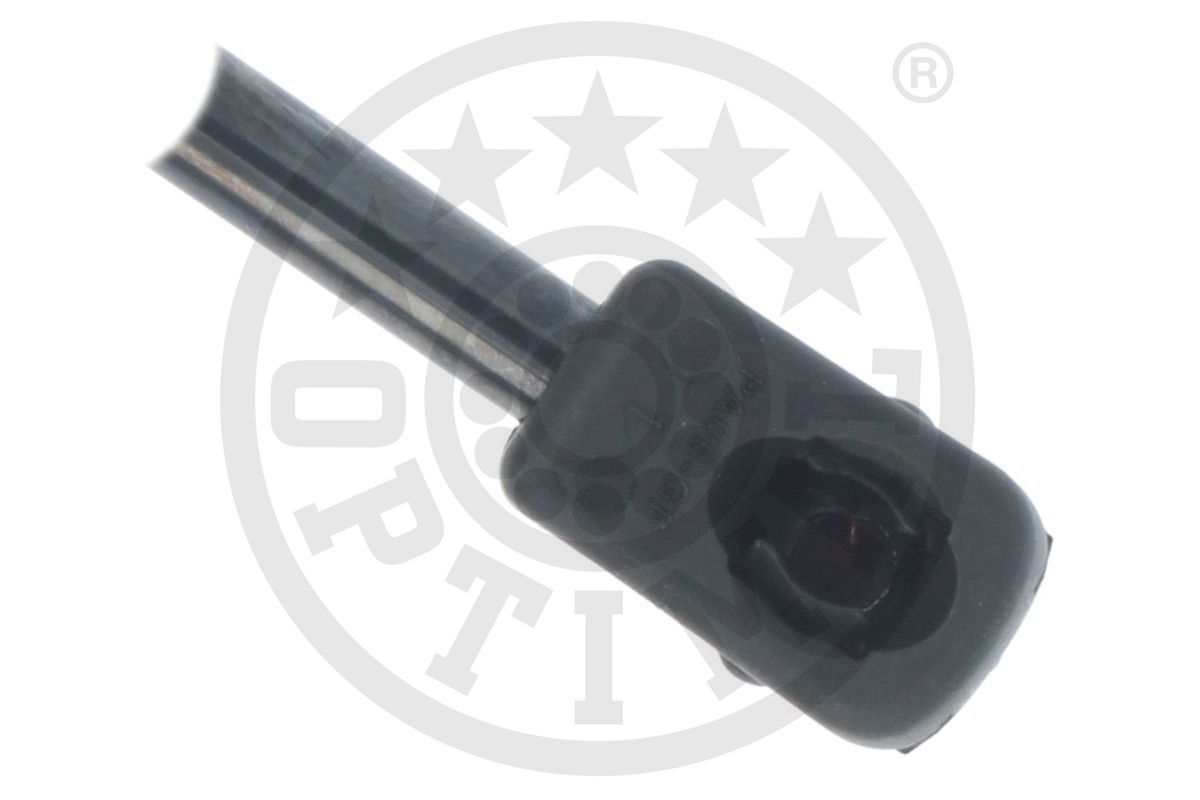 Gas Spring, boot/cargo area