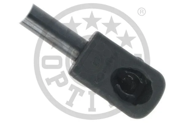 Gas Spring, boot/cargo area