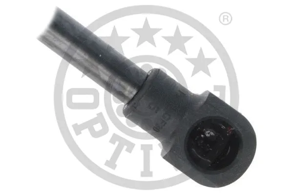 Gas Spring, boot/cargo area
