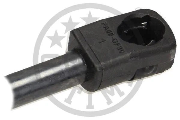 Gas Spring, boot/cargo area