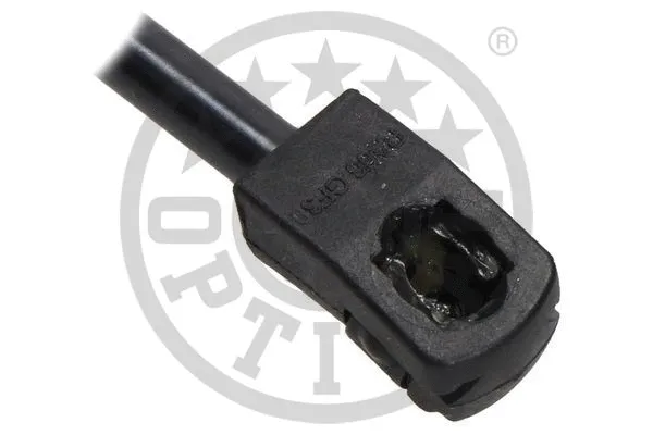 Gas Spring, boot/cargo area