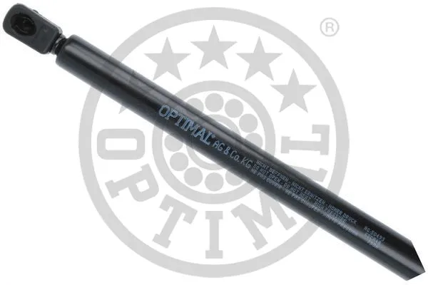 Gas Spring, boot/cargo area