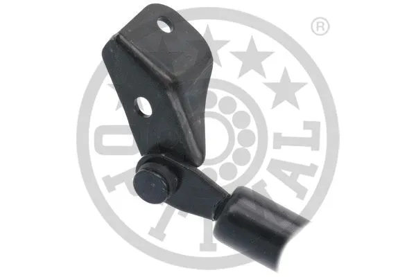 Gas Spring, boot/cargo area