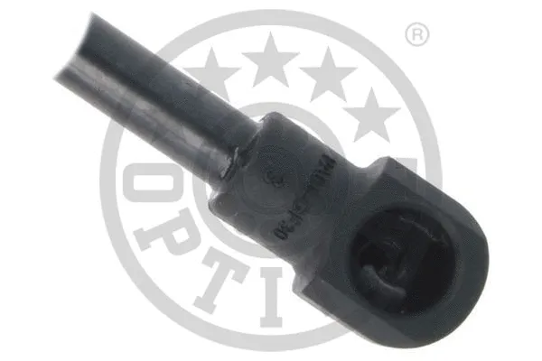 Gas Spring, boot/cargo area