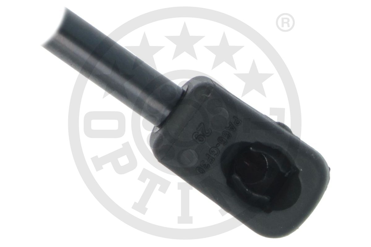 Gas Spring, boot/cargo area