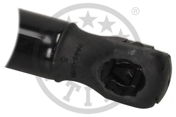 Gas Spring, boot/cargo area