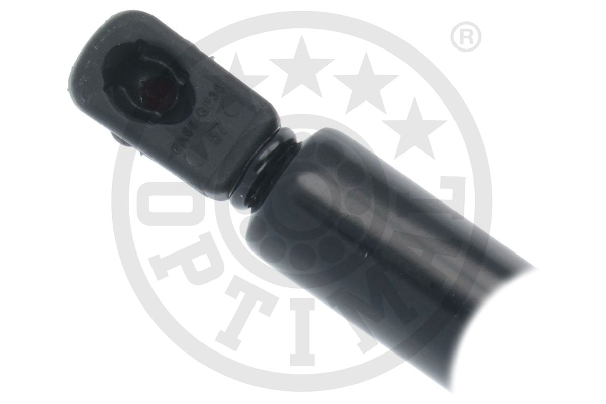 Gas Spring, boot/cargo area