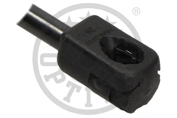 Gas Spring, boot/cargo area