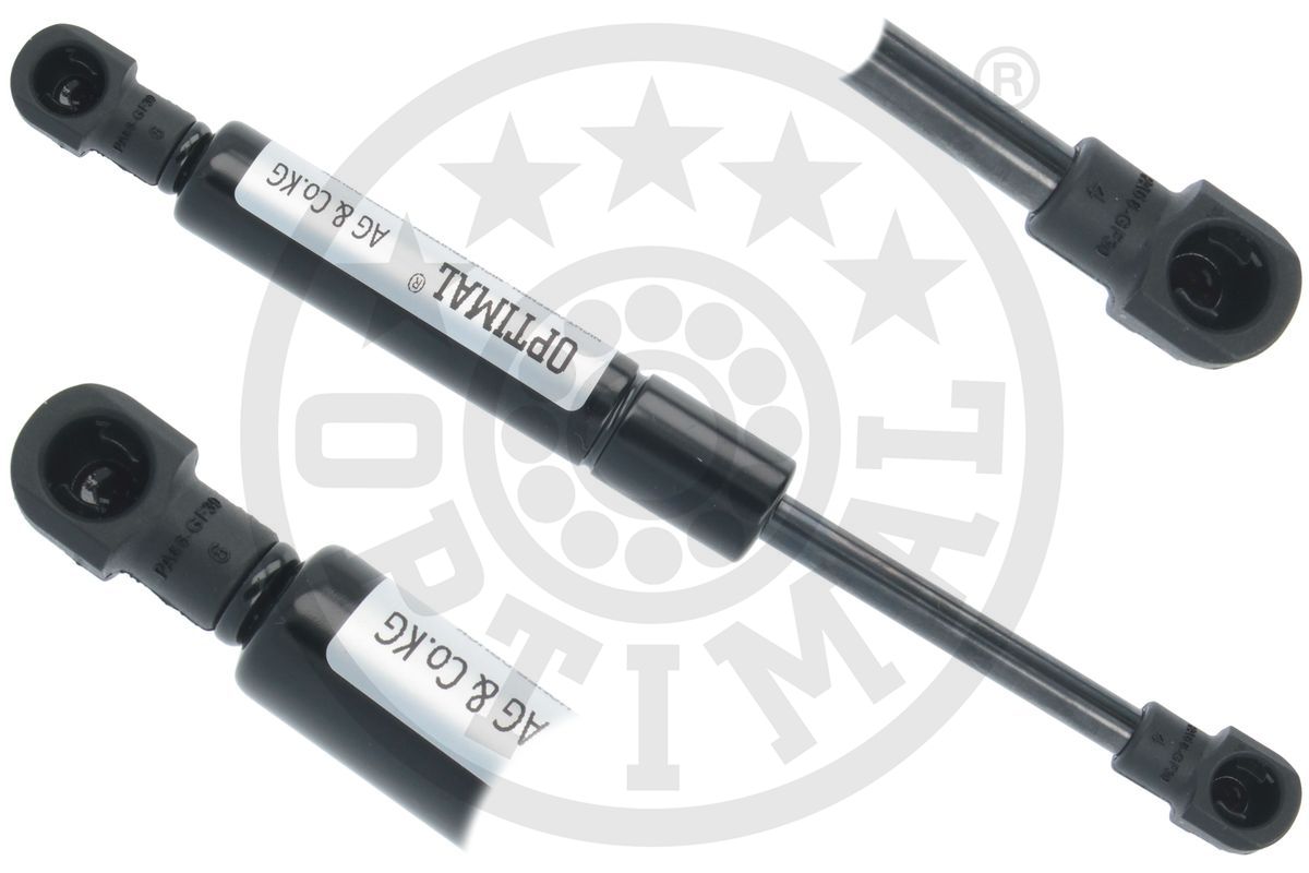 Gas Spring, boot/cargo area (AG-51753)