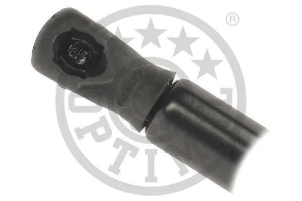 Gas Spring, boot/cargo area