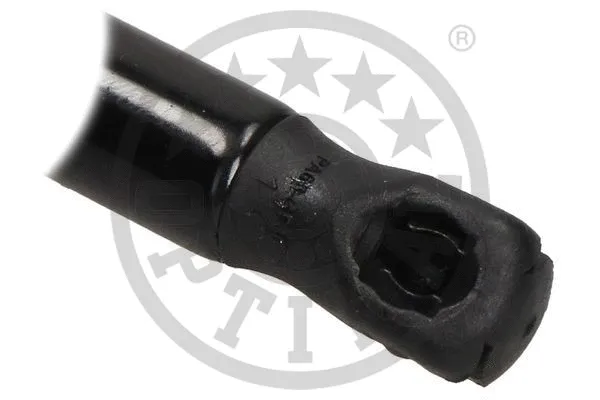 Gas Spring, boot/cargo area