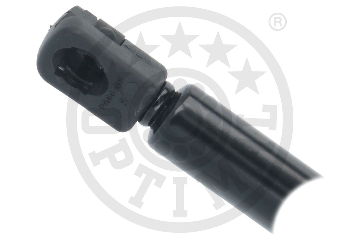 Gas Spring, boot/cargo area