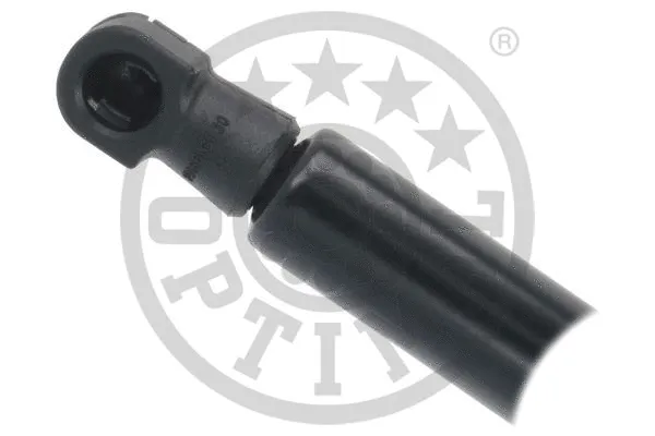 Gas Spring, boot/cargo area