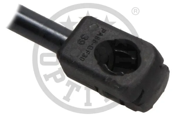 Gas Spring, boot/cargo area