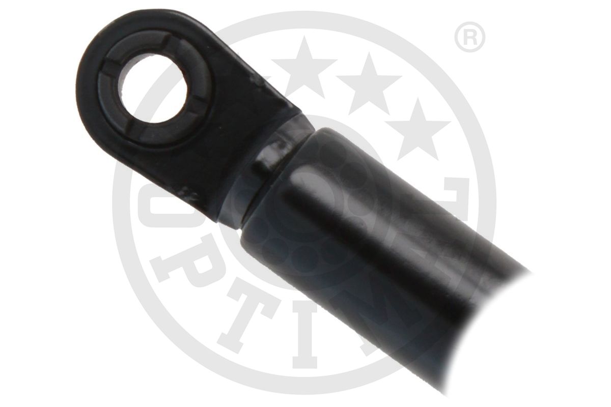 Gas Spring, boot/cargo area