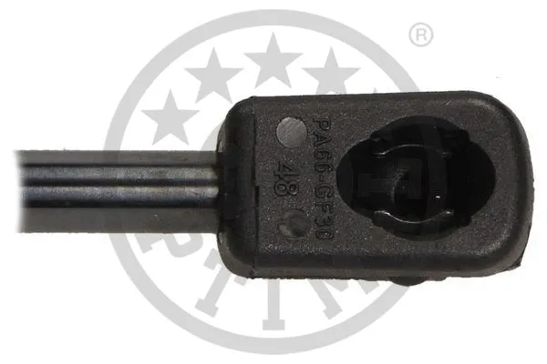 Gas Spring, boot/cargo area