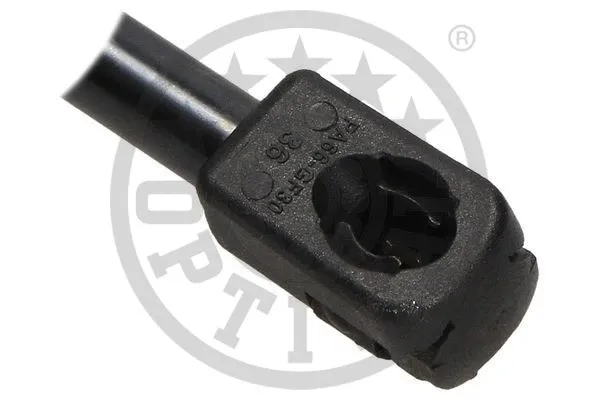 Gas Spring, boot/cargo area