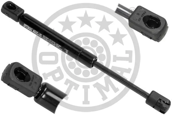 Gas Spring, boot/cargo area (AG-40569)