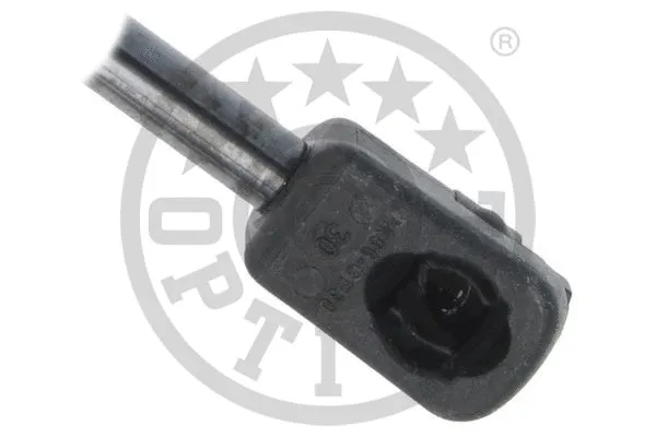 Gas Spring, boot/cargo area