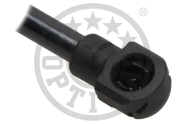 Gas Spring, boot/cargo area