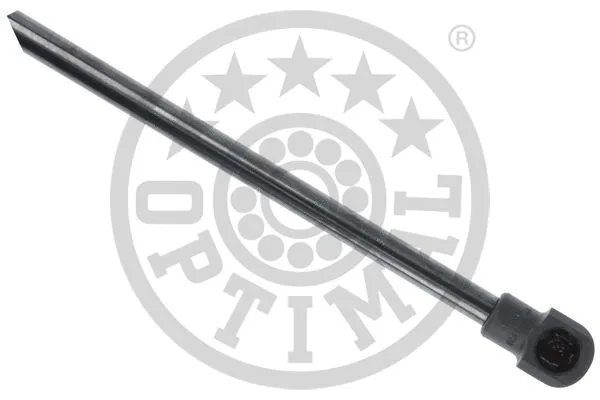 Gas Spring, boot/cargo area