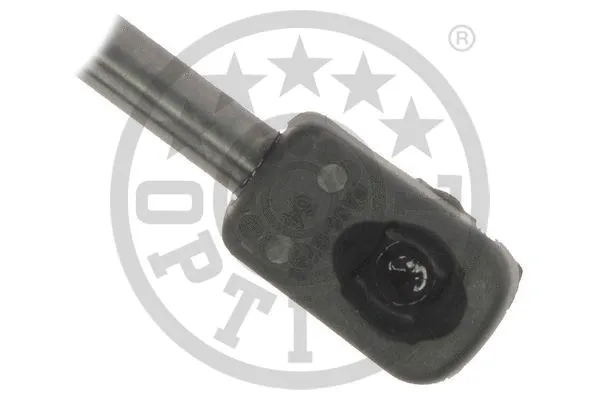 Gas Spring, boot/cargo area