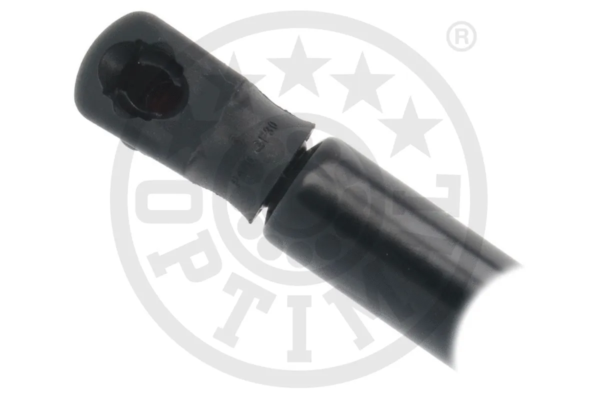 Gas Spring, boot/cargo area